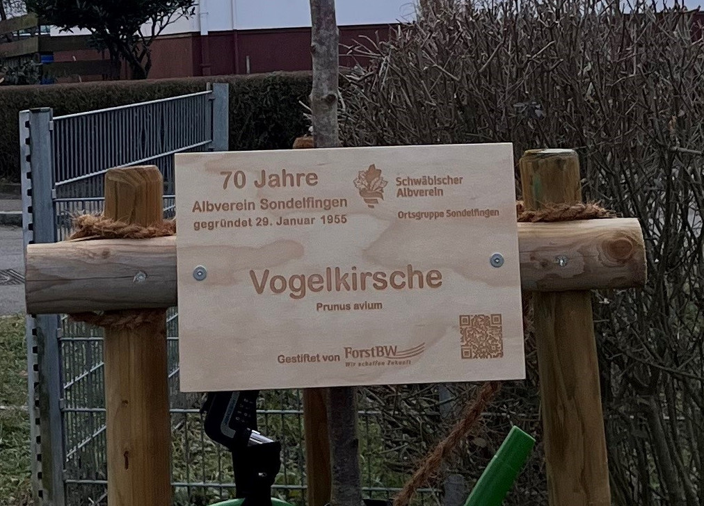 image_module