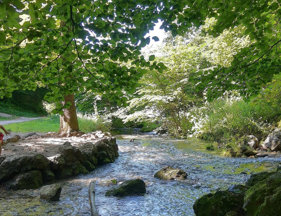 Zu der Echazquelle